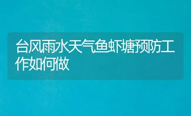 台风雨水天气鱼虾塘预防工作如何做 | 淡水养殖