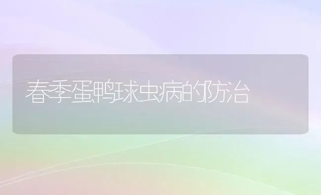 春季蛋鸭球虫病的防治 | 家禽养殖