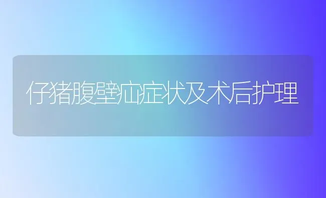 仔猪腹壁疝症状及术后护理 | 家畜养殖