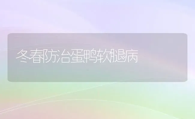 冬春防治蛋鸭软腿病 | 家禽养殖