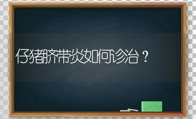 仔猪脐带炎如何诊治？ | 家畜养殖