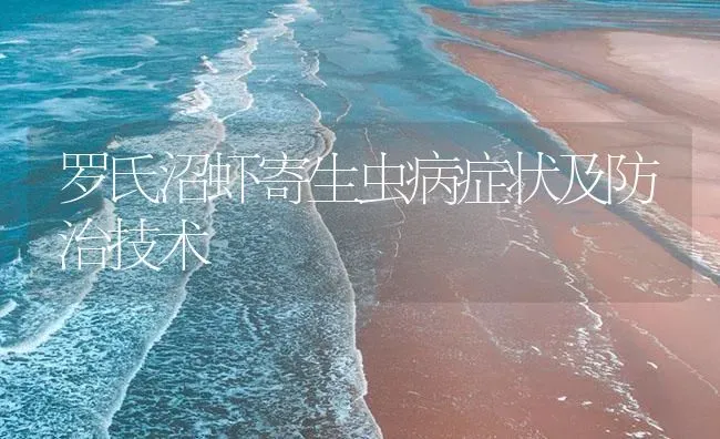 罗氏沼虾寄生虫病症状及防治技术 | 海水养殖