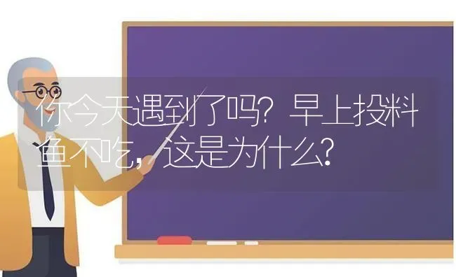 你今天遇到了吗？早上投料鱼不吃，这是为什么? | 动物养殖百科