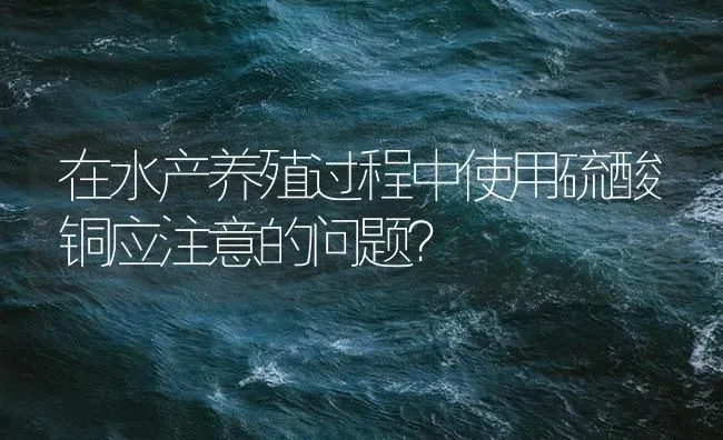 在水产养殖过程中使用硫酸铜应注意的问题？ | 养殖病虫害防治