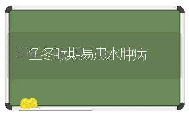 甲鱼冬眠期易患水肿病 | 淡水养殖