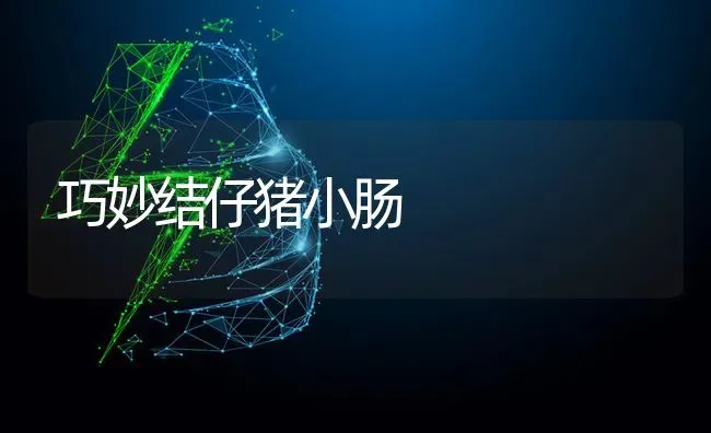 巧妙结仔猪小肠 | 家畜养殖