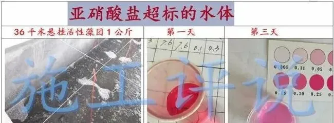 养殖户怎么能在需要的时间拿到新鲜的、杠杠的藻种