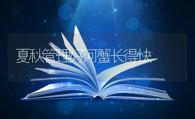 夏秋管理好河蟹长得快 | 淡水养殖