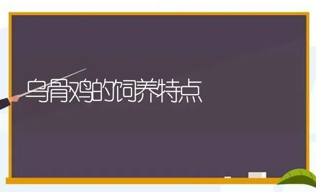 乌骨鸡的饲养特点 | 家禽养殖