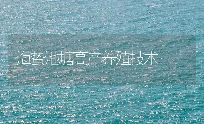 海蛰池塘高产养殖技术 | 海水养殖