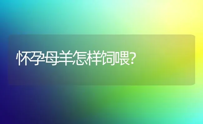 怀孕母羊怎样饲喂？ | 家畜养殖