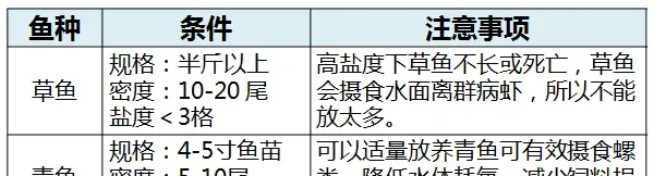 这些年来的鱼虾混养套养经验及建议（粤海对虾养殖基本操作流程-土池篇）