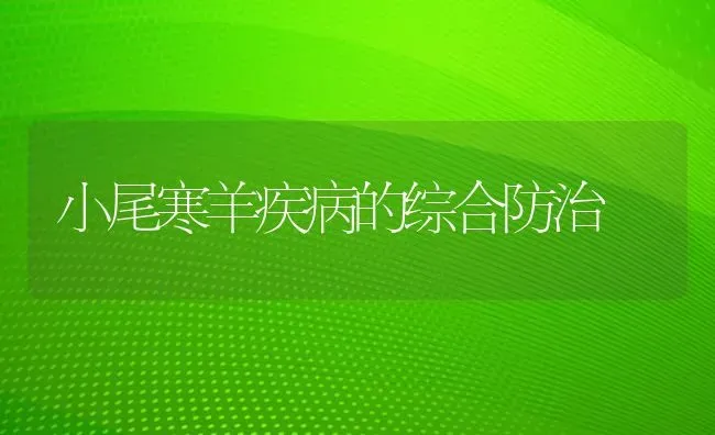 小尾寒羊疾病的综合防治 | 家畜养殖