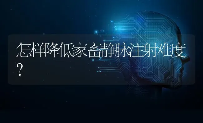 怎样降低家畜静脉注射难度？ | 家畜养殖