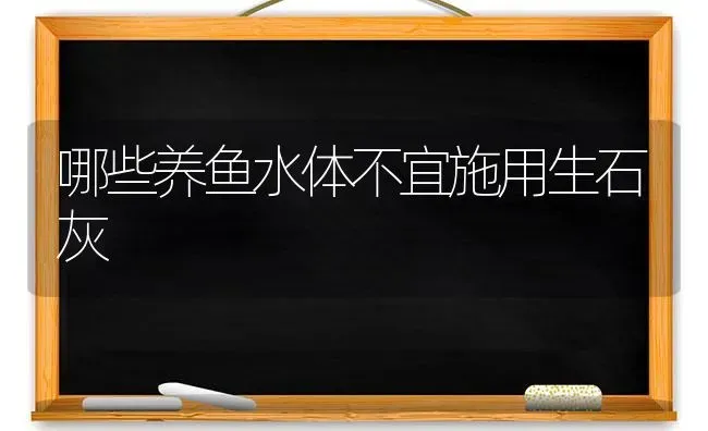 哪些养鱼水体不宜施用生石灰 | 淡水养殖