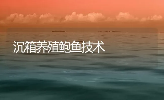 沉箱养殖鲍鱼技术 | 海水养殖