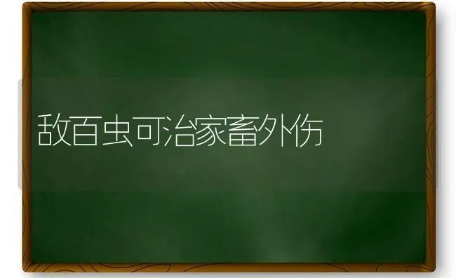 敌百虫可治家畜外伤 | 家畜养殖