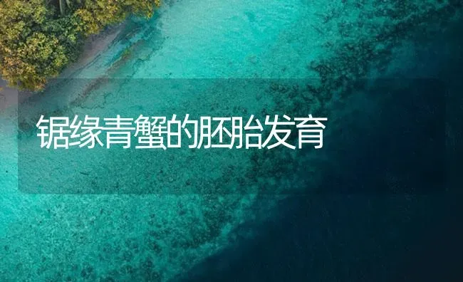 锯缘青蟹的胚胎发育 | 海水养殖