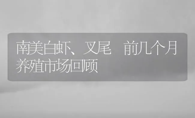 南美白虾、叉尾鮰前几个月养殖市场回顾 | 特种养殖