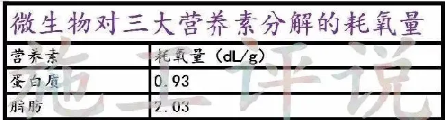 夏造对虾长不大？看看是不是这四大方面的原因！