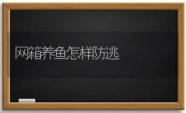 网箱养鱼怎样防逃 | 淡水养殖