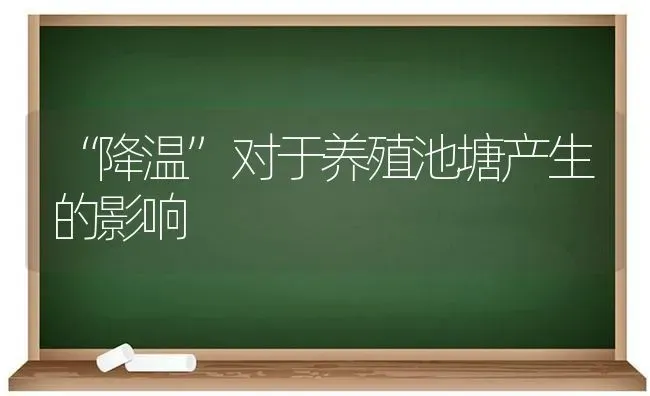 “降温”对于养殖池塘产生的影响 | 动物养殖百科