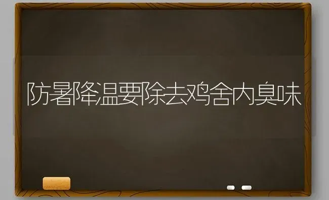 防暑降温要除去鸡舍内臭味 | 家禽养殖