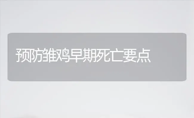 预防雏鸡早期死亡要点 | 家禽养殖