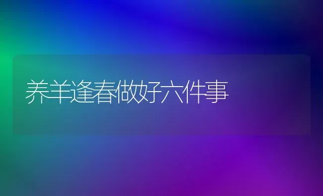 养羊逢春做好六件事 | 家畜养殖