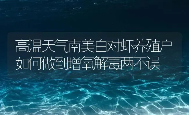 高温天气南美白对虾养殖户如何做到增氧解毒两不误 | 海水养殖