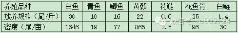 江苏溧阳白鱼养殖创佳绩 天邦海水鱼料每包出鱼33斤