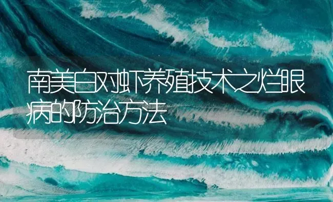 南美白对虾养殖技术之烂眼病的防治方法 | 海水养殖