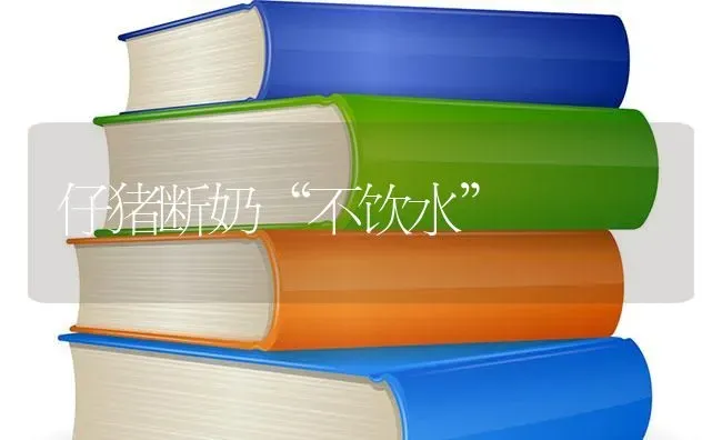 仔猪断奶“不饮水” | 家畜养殖
