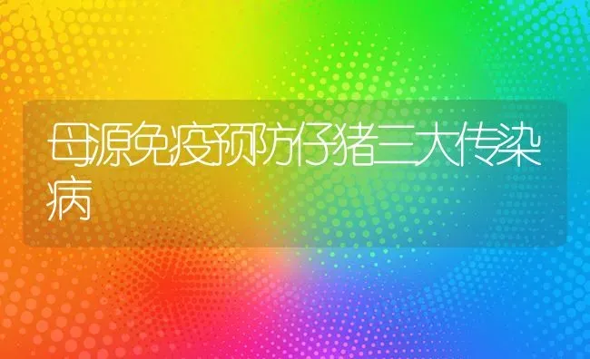 母源免疫预防仔猪三大传染病 | 家畜养殖