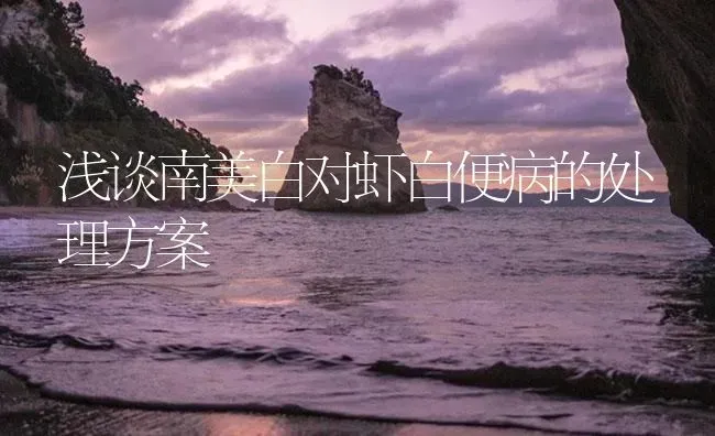 浅谈南美白对虾白便病的处理方案 | 海水养殖