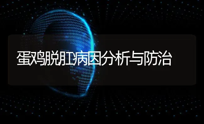 蛋鸡脱肛病因分析与防治 | 家禽养殖
