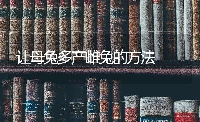 让母兔多产雌兔的方法 | 家畜养殖