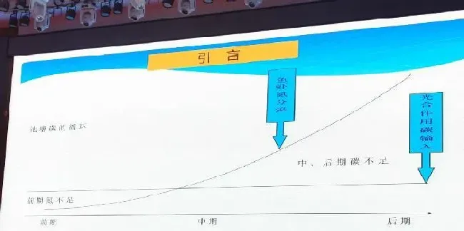 都说养殖户要调水调水，水应到底应该怎么调？