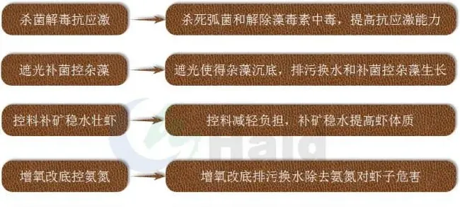 高温天南美白对虾发生白便如何破？预防白便如何搞？