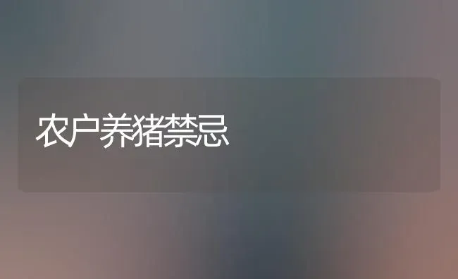 农户养猪禁忌 | 家畜养殖
