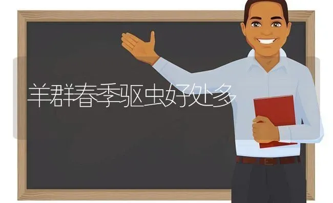 羊群春季驱虫好处多 | 家畜养殖