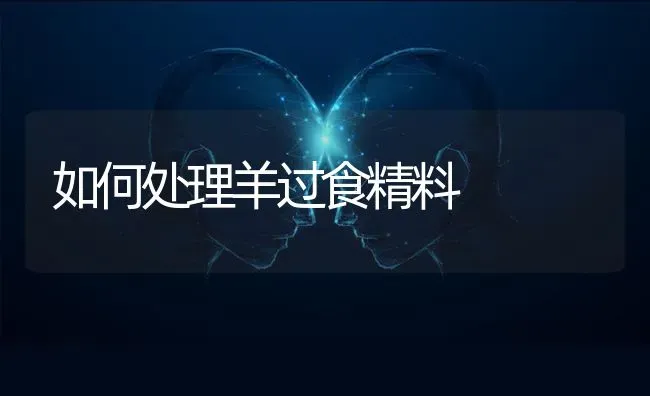如何处理羊过食精料 | 家畜养殖