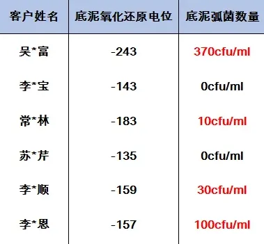 小棚对虾标粗中弧菌防控，做好这几点，效果翻倍！