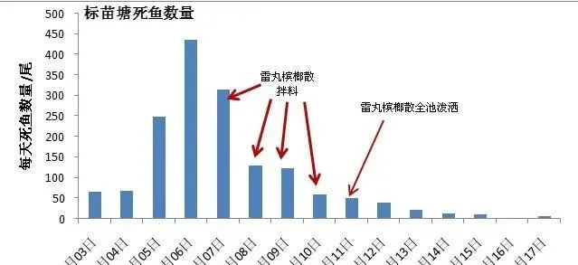 一例罗非鱼头槽绦虫病的诊断及处理措施