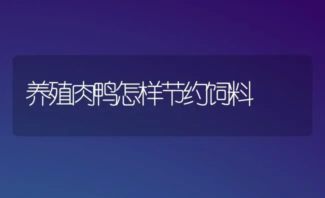 养殖肉鸭怎样节约饲料 | 家禽养殖