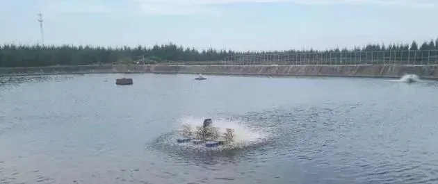 水产杂谈丨论南美白对虾发病前的信号