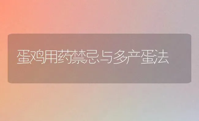 蛋鸡用药禁忌与多产蛋法 | 养殖病虫害防治