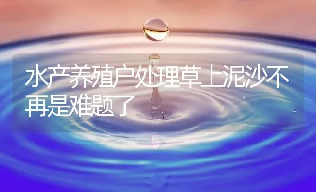 水产养殖户处理草上泥沙不再是难题了 | 动物养殖百科