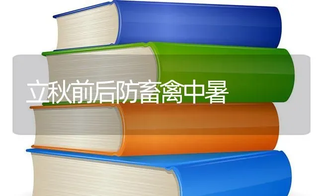 立秋前后防畜禽中暑 | 家禽养殖