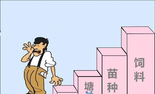 算好这笔帐，科学评估水产养殖效益不含糊